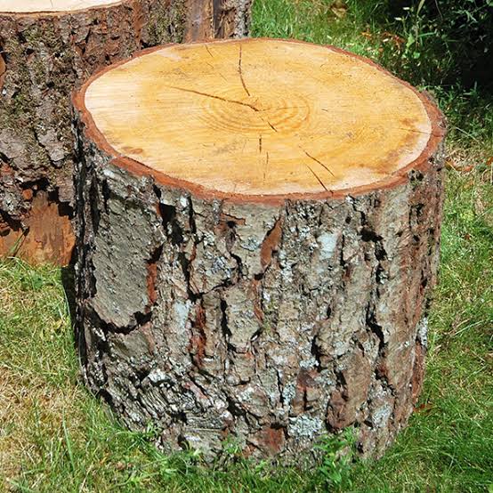 Plant big log. Big log. Log EKLK. Puretop log. Log ipasibas.